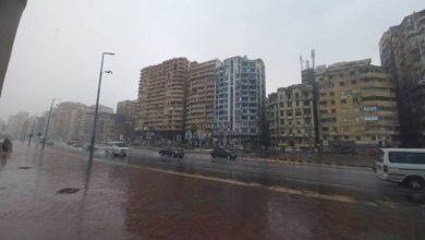 أمطار عزيزة تضرب مدن الإسكندرية