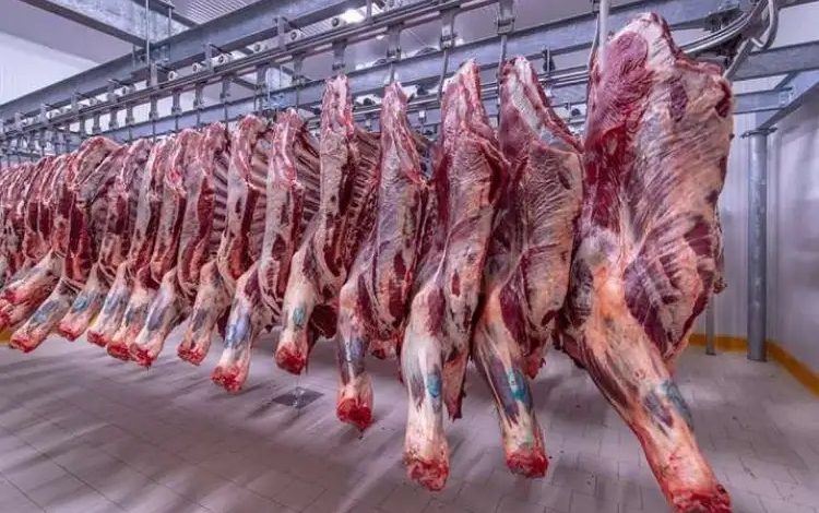 الزراعة: الزيادة المبررة لأسعار اللحوم والدواجن تحافظ على الصناعة