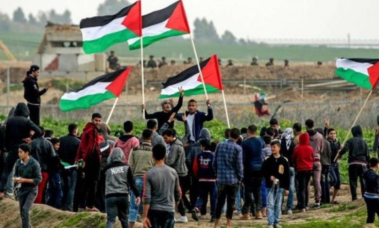 حول الوحدة الميدانية الفلسطينية  شبكة قدس الإخبارية