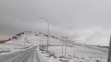 شاهد : بدء تساقط الثلوج في المملكة - فيديو