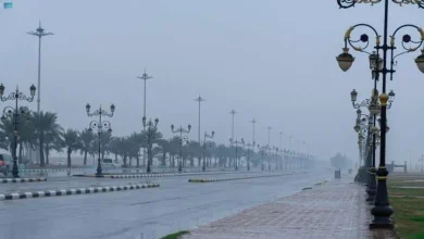 طقس اليوم الثلاثاء بالسعودية: هطول أمطار رعدية مصحوبة برياح نشطة