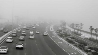 فريق إدارة "الطوارئ والأزمات" في أبوظبي يؤكد جاهزية الجهات المعنية للتعامل مع الحالة الجوية المتقلبة