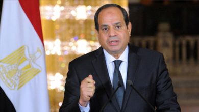 موقف مصر ثابت من استعادة أمن واستقرار أي دولة تعاني من أزمات بالمنطقة