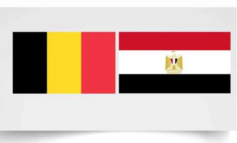 وزيرة داخلية بلجيكا تؤكد دور مصر الريادي في مكافحة الإرهاب والهجرة غير الشرعية