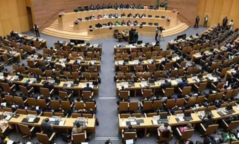 الاتحاد الأفريقي: نتمسك بإيجاد حل سلمي للقضية الفلسطينية وحل الدولتين
