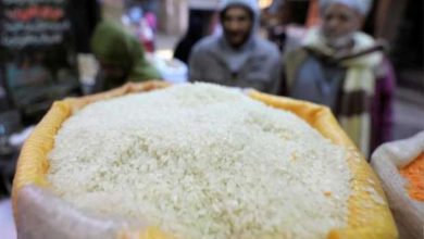 «التموين»: انخفاض سعر كيلو الأرز الأبيض بداية من شهر مارس المقبل