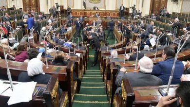 «النواب» يناقش تعديلات جديدة للتيسير على المصريين بالخارج