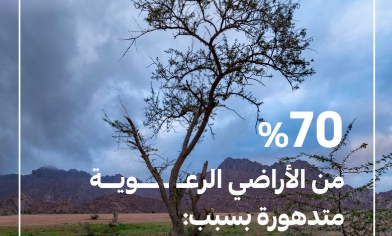 انطلاق حملة توعوية لحماية الغطاء النباتي سعيًا إلى تحقيق مستهدفات مبادرة السعودية الخضراء