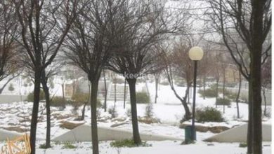شاهد : الارصاد تنشر فيديو لتساقط زخات الثلج في المملكة