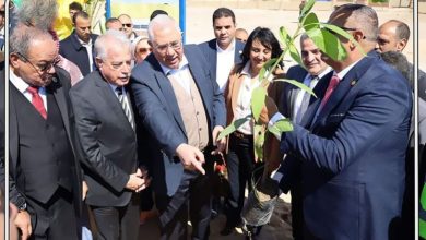 محافظ جنوب سيناء ووزير الزراعة يشاركون في غرس أشجار بمبادرة هنجملها للتنمية المستدامة