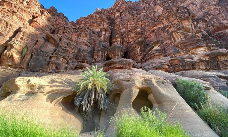 وادي الديسة بالمملكة السعودية.. اكتشف الطبيعة في أبهى صورها موسوعة المسافر
