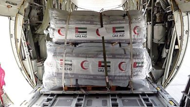 وصول طائرتين تحملان مساعدات إماراتية إلى مطار دمشق