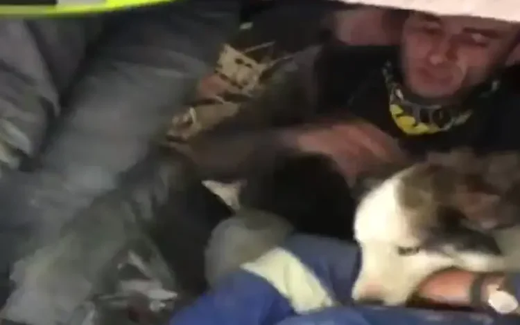 بعد الحصان.. شاهد إنقاذ كلب مرّ عليه 23 يوما تحت أنقاض زلزال تركيا