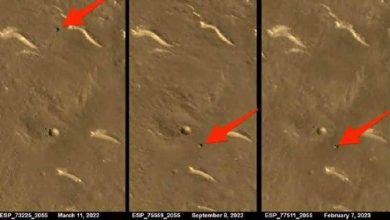 العثور على المركبة الصينية «النائمة» في المريخ - أخبار السعودية