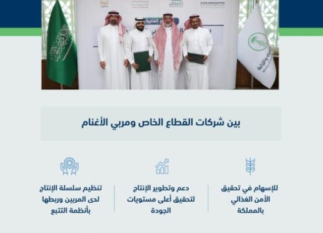 «البيئة»: اتفاقية تعاون بين شركات القطاع الخاص ومربي الأغنام لدعم سلاسل الإنتاج بالمملكة - أخبار السعودية