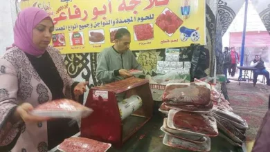 أسعار اللحوم المصنعة والمجمدة والبط بمعارض أهلا رمضان بالشرقية