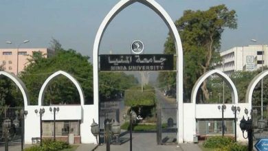 جامعة المنيا: فوز 14 مشروع تخرج بحثي طلابي بدعم أكاديمية البحث العلمي