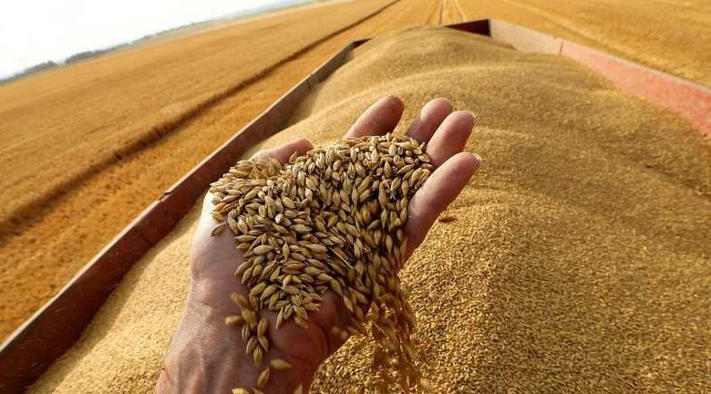 روسيا تضع 5 شروط لتمديدها صفقة الحبوب في مايو المقبل