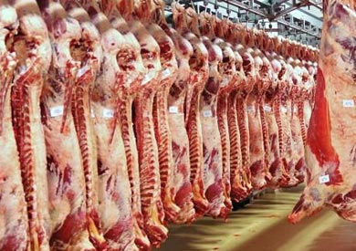شعبة القصابين: سعر كيلو اللحوم التشادية المستوردة يتراوح بين 150 إلى 160 جنيها