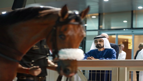 محمد بن راشد يشهد مزاد دبي "بريز اب 2023" في مضمار ميدان