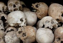 سرقة 14 جمجمة من مدفن في النمسا - أخبار السعودية