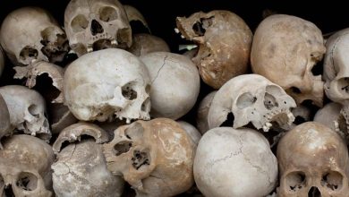 سرقة 14 جمجمة من مدفن في النمسا - أخبار السعودية