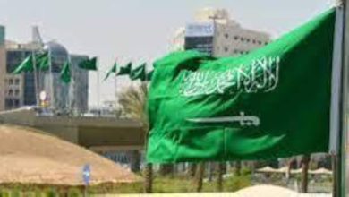 «الشؤون الاقتصادية والتنمية» يناقش عددا من الموضوعات والعروض - أخبار السعودية