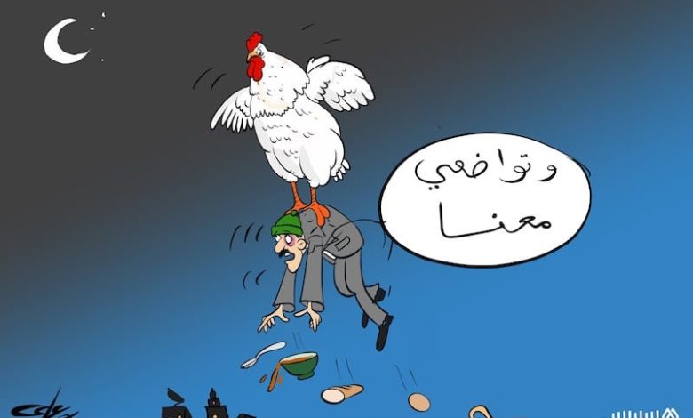 ارتفاع أسعار الدجاج يثير استياء المغاربة .. والمهنيون يتوقعون تراجع الأثمنة ‬