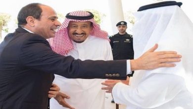 الرئيس السيسي يؤكد على عُمق العلاقات الثنائية بين مصر والسعودية