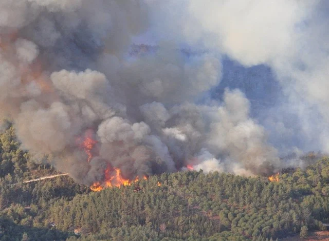 السلطات تواصل عملية اطفاء حريق نشب في غابات شفشاون خوفا من تمدده