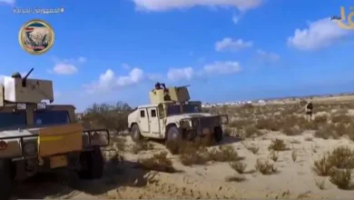 بطولات وتضحيات الشهداء لاستعادة الأمن على أرض الفيروز.. (فيديو)
