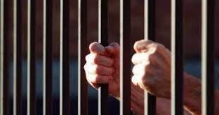 حبس 4 متهمين بحيازة 335 طربة حشيش بـ3 ملايين جنيه في الإسكندرية