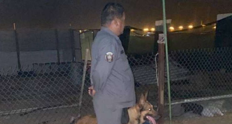 مصادر أمنية لـ«الراي»: بعد المسح الأمني وكلاب الأثر
في أحد الجواخير لم يعثر على دليل يعود إلى المفقود مبارك الرشيدي