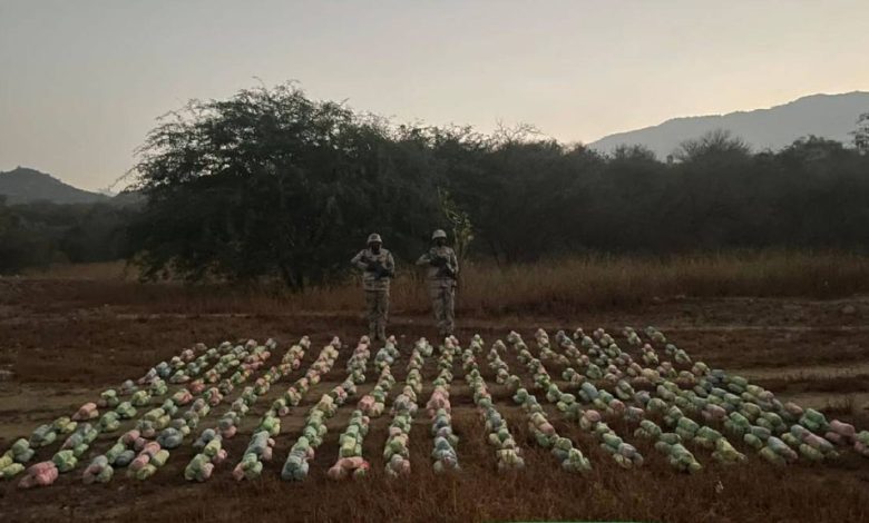 «حرس الحدود» يحبط تهريب 320 كيلوغراماً من نبات القات في جازان - أخبار السعودية