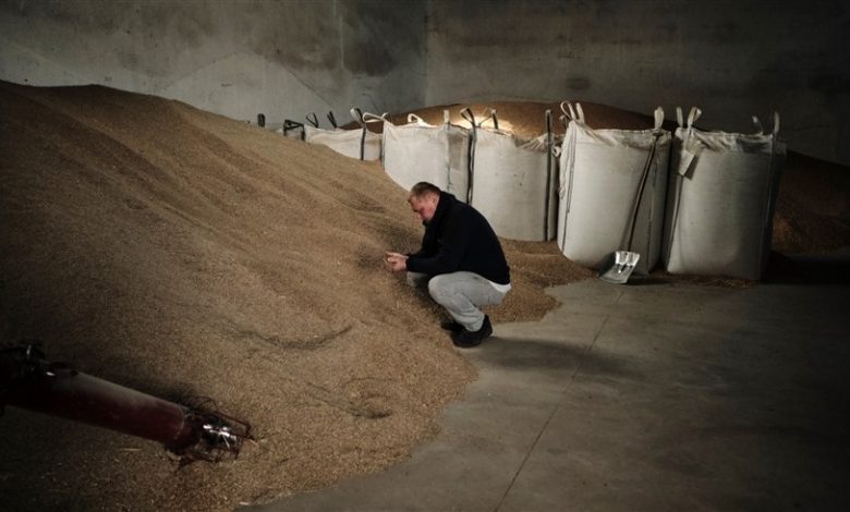 أزمة الحبوب الأوكرانية.. هل يعود شبح المجاعة؟