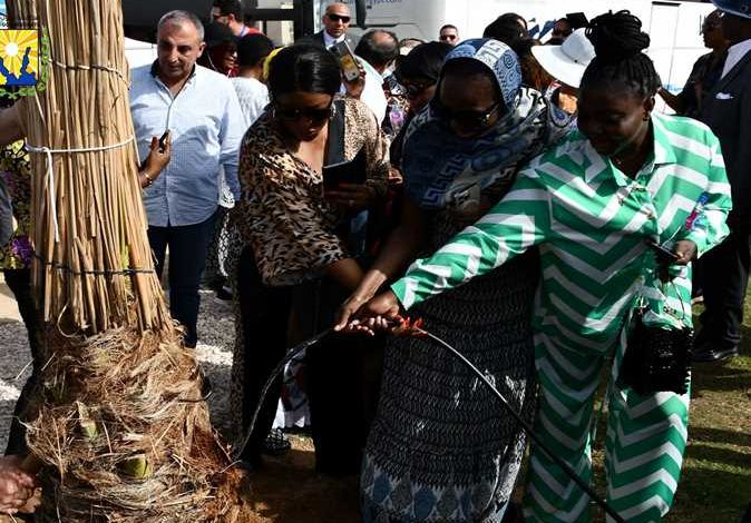 زوجات السفراء ورؤساء البنوك الأفريقية يغرسون شجرة مثمرة بالحديقة المركزية بشرم الشيخ