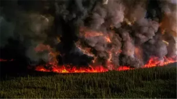 حرائق الغابات تتسبب في مغادرة آلاف الكنديين منازلهم