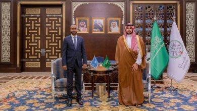 وزير الدفاع يبحث التعاون العسكري مع نظيره الصومالي - أخبار السعودية