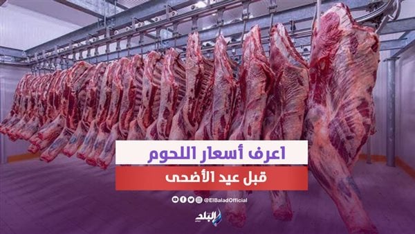 آخر أسعار اللحوم قبل عيد الأضحى.. الجملي 270 جنيها والبلدي 300