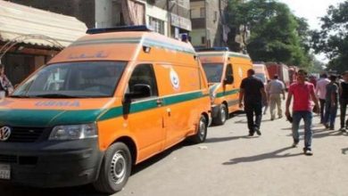 بالأسماء.. إصابة 3 أشخاص في مشاجرة بقرية جزائر عيسى بالبحيرة