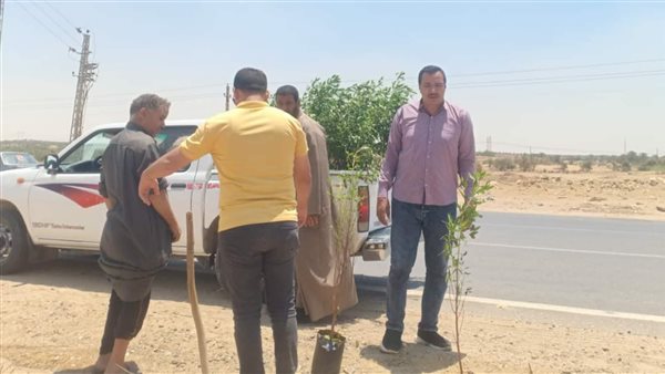حملات للنظافة وغرس الأشجار بطريق القاهرة الفيوم الصحراوي