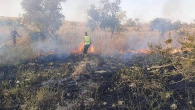 مستوطنون يحرقون محاصيل زراعية بمسافر يطا جنوب الخليل
