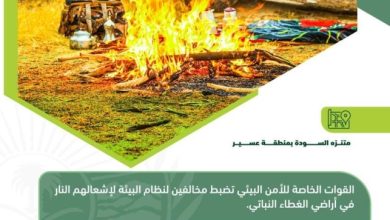 ضبط 8 مخالفين لنظام البيئة لإشعالهم النار في المناطق المحمية وأراضي الغطاء النباتي - أخبار السعودية