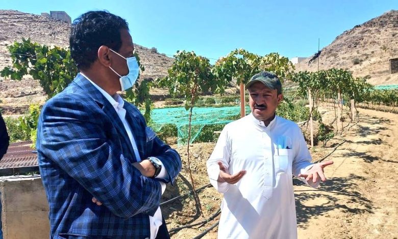 مزارعو الباحة: الاستيراد يطيح بأسعار الفواكه - أخبار السعودية