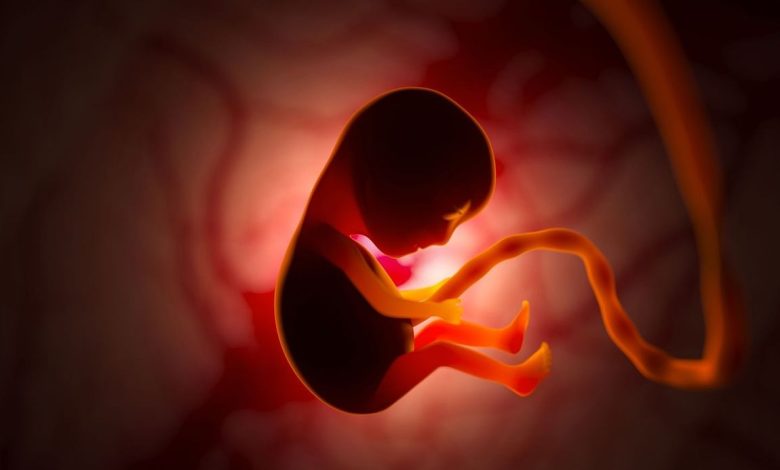 4 خيارات لمواجهة توقف نبض الجنين خلال الحمل