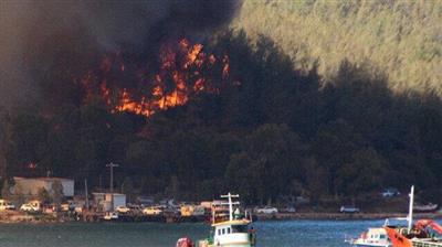تركيا.. حريق هائل في غابات موغلا يصل إلى مدينة بودروم الساحلية