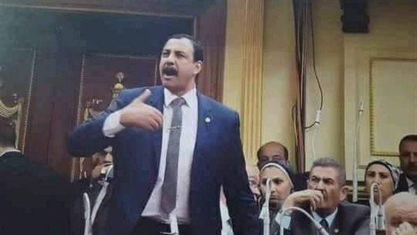 أحمد مصطفى الفرجاني .. يكتب عن مصر 30 يونيو .. 10 سنوات من الإنجازات