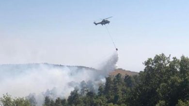 الجيش: نقل 178 طناً من المياه بالطائرات لإخماد حرائق الغابات بعجلون وجرش