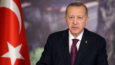 الرئيس التركي يصل الإمارات في زيارة رسمية