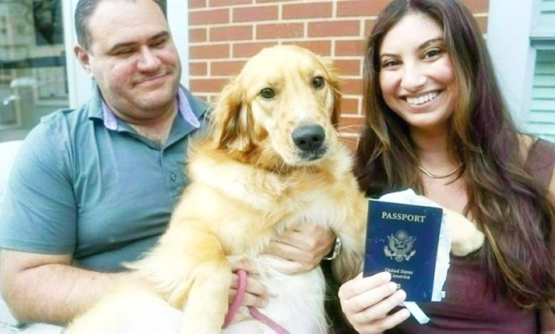 كلب يفسد شهر عسل صاحبه ويلتهم جوازه - أخبار السعودية